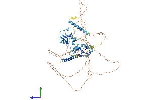 Protein Structure (PS) image for Ring Finger Protein 180 (RNF180) (AA 1-592) protein (His tag) (ABIN7551448)