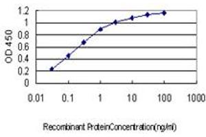 Detection limit for recombinant GST tagged ARMC8 is approximately 0. (ARMC8 抗体  (AA 287-385))