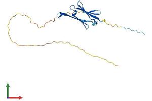 AlphaFold protein structure predicition of Mouse Recombinant Hspb7 Protein, UniprotID P35385