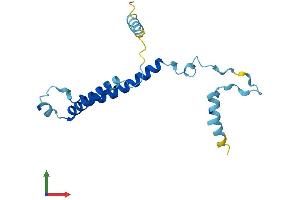 AlphaFold protein structure predicition of Human Recombinant PIGP Protein, UniprotID P57054