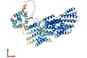 Protein Structure (PS) image for Anaphase Promoting Complex Subunit 5 (ANAPC5) (AA 1-755) protein (His tag) (ABIN7552196)