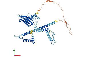 Protein Structure (PS) image for NudC Domain Containing 3 (NUDCD3) (AA 1-361) protein (His tag) (ABIN7549998)