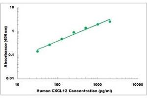 Representative Standard Curve (CXCL12 ELISA 试剂盒)