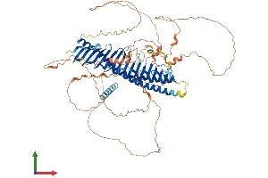 AlphaFold protein structure predicition of Mouse Recombinant Jph3 Protein, UniprotID Q9ET77