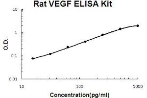 Rat VEGF Accusignal ELISA Kit Rat VEGF AccuSignal ELISA Kit standard curve. (VEGF ELISA 试剂盒)