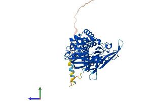 AlphaFold protein structure predicition of Mouse Recombinant Foxred1 Protein, UniprotID Q3TQB2
