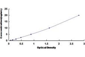 Typical standard curve (SLC30A6 ELISA 试剂盒)