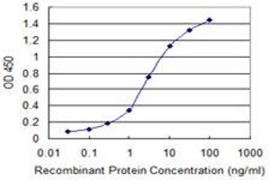Detection limit for recombinant GST tagged ZNF239 is 0. (ZNF239 抗体  (AA 1-100))