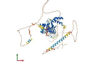 Protein Structure (PS) image for Family with Sequence Similarity 83, Member D (FAM83D) (AA 1-585) protein (His tag) (ABIN7553903)