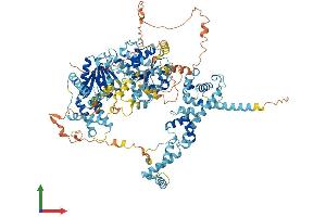 Protein Structure (PS) image for SWI/SNF Related, Matrix Associated, Actin Dependent Regulator of Chromatin, Subfamily A, Member 1 (SMARCA1) (AA 1-1046) protein (His tag) (ABIN7564129)
