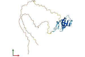 Protein Structure (PS) image for GAR1 Ribonucleoprotein Homolog (Yeast) (GAR1) (AA 1-217) protein (His tag) (ABIN7547802)