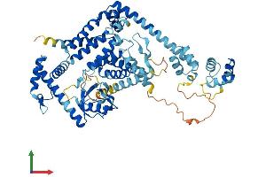 Protein Structure (PS) image for Negative Regulator of Ubiquitin-Like Proteins 1 (NUB1) (AA 1-615) protein (His tag) (ABIN7549933)