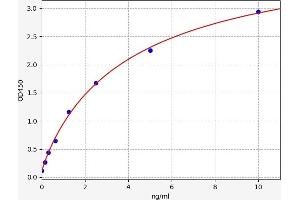 Typical standard curve (ELANE ELISA 试剂盒)