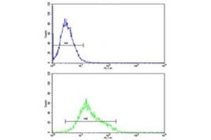 Flow Cytometry (FACS) image for anti-Mitofusin 2 (MFN2) (AA 447-476) antibody (ABIN3031818)