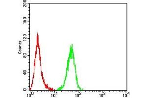 Flow Cytometry (FACS) image for anti-Calpain 1, Large Subunit (CAPNL1) (AA 501-714) antibody (ABIN7193418)
