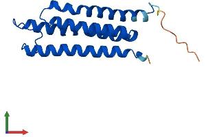 Protein Structure (PS) image for Microsomal Glutathione S-Transferase 3 (MGST3) (AA 1-153) protein (His tag) (ABIN7560480)