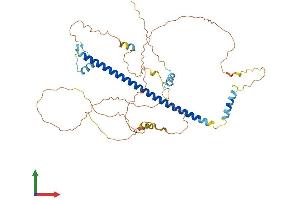 Protein Structure (PS) image for cAMP Responsive Element Binding Protein 3-Like 3 (CREB3L3) (AA 1-461) protein (His tag) (ABIN7553588)
