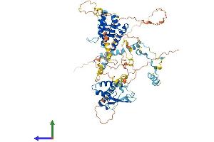 Protein Structure (PS) image for Spire Homolog 2 (SPIRE2) (AA 1-718) protein (His tag) (ABIN7564625)