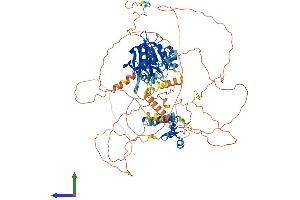 Protein Structure (PS) image for Lipin 1 (LPIN1) (AA 1-890) protein (His tag) (ABIN7554440)