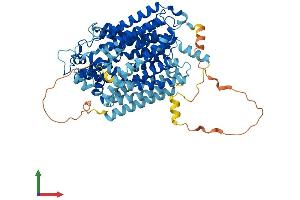 Protein Structure (PS) image for Solute Carrier Family 5 (Sodium/glucose Cotransporter), Member 9 (SLC5A9) (AA 1-681) protein (His tag) (ABIN7555449)