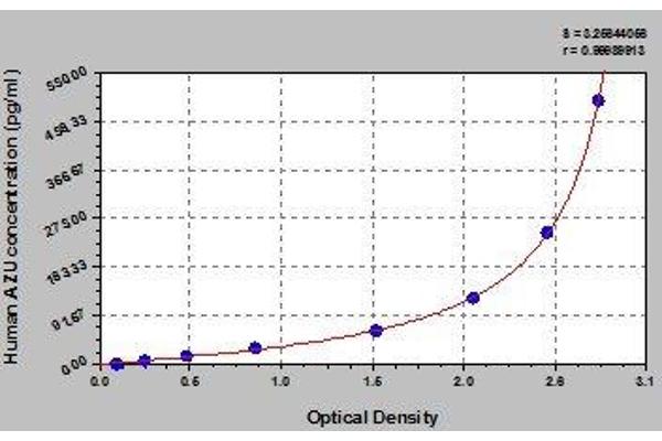 Azurocidin ELISA 试剂盒