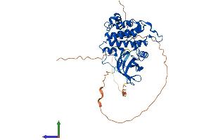 AlphaFold protein structure predicition of Mouse Recombinant Csnk1g2 Protein, UniprotID Q8BVP5