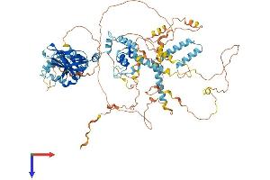 PIK3AP1 Protein (AA 1-811) (His tag)