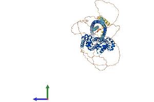 Protein Structure (PS) image for Kazrin (KAZ) (AA 1-779) protein (His tag) (ABIN7557892)