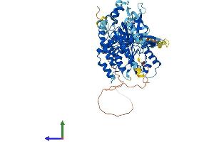 AlphaFold protein structure predicition of Mouse Recombinant Mcmbp Protein, UniprotID Q8R3C0
