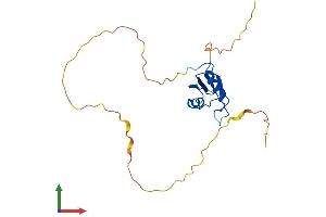 Protein Structure (PS) image for RNA Binding Protein with Multiple Splicing (RBPMS) (AA 1-196) protein (His tag) (ABIN7551243)