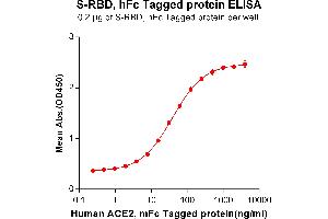 ELISA image for Angiotensin I Converting Enzyme 2 (ACE2) (AA 18-740) protein (mFc Tag) (ABIN6961130)
