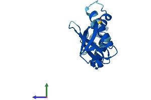 Protein Structure (PS) image for Small Nuclear Ribonucleoprotein 25kDa (U11/U12) (SNRNP25) (AA 1-132) protein (His tag) (ABIN7546138)
