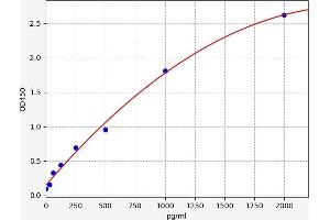 Typical standard curve (BCL6 ELISA 试剂盒)