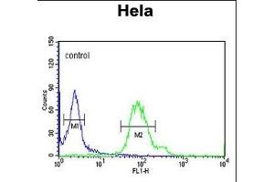 GABARL1 Antibody 9133a flow cytometric analysis of Hela cells (right histogram) compared to a negative control cell (left histogram).