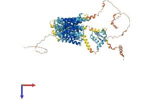 G Protein-Coupled Receptor 155 (GPR155) (AA 1-870) protein (His tag)