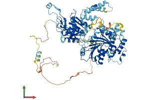 Protein Structure (PS) image for RAD54-Like (RAD54L) (AA 1-747) protein (His tag) (ABIN7563519)