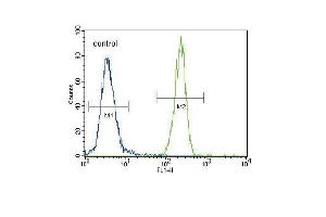 FOXP3 Antibody (C-term) (ABIN389295 and ABIN2839415) flow cytometric analysis of 293 cells (right histogram) compared to a negative control (left histogram). (FOXP3 抗体  (C-Term))