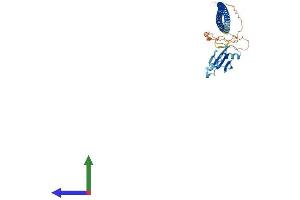 Protein Structure (PS) image for Ras Association (RalGDS/AF-6) Domain Family (N-terminal) Member 8 (RASSF8) (AA 1-419) protein (His tag) (ABIN7551287)