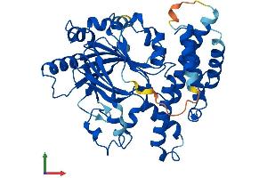 AlphaFold protein structure predicition of Mouse Recombinant Jmjd4 Protein, UniprotID Q8BFT6