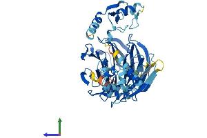 Protein Structure (PS) image for WD Repeat, Sterile alpha Motif and U-Box Domain Containing 1 (WDSUB1) (AA 1-476) protein (His tag) (ABIN7545196)