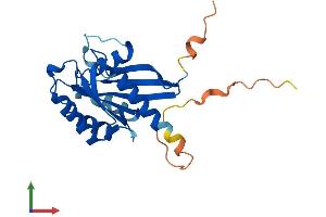Protein Structure (PS) image for RAB19, Member RAS Oncogene Family (RAB19) (AA 1-217) protein (His tag) (ABIN7551137)