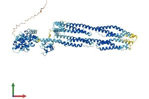 Protein Structure (PS) image for Actinin, alpha 2 (ACTN2) (AA 1-894) protein (His tag) (ABIN7561538)