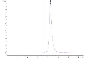 Size-exclusion chromatography-High Pressure Liquid Chromatography (SEC-HPLC) image for GDNF Family Receptor alpha Like (GFRAL) (AA 20-351) protein (His-Avi Tag,Biotin) (ABIN7274735)