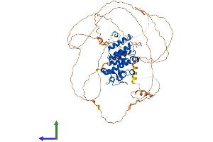Protein Structure (PS) image for Opioid Growth Factor Receptor (OGFR) (AA 1-677) protein (His tag) (ABIN7550343)