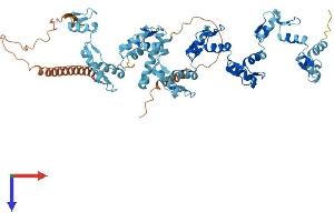 AlphaFold protein structure predicition of Human Recombinant ZNF568 Protein, UniprotID Q3ZCX4