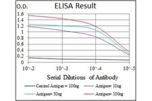 ELISA image for anti-Myeloproliferative Leukemia Virus Oncogene (MPL) antibody (ABIN1105749) (MPL 抗体)