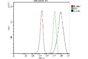 Flow Cytometry analysis of Jurkat cells using anti-CD79A antibody (ABIN3043397). (CD79a 抗体  (AA 121-226))
