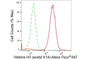 Flow cytometric analysis of Histone H3 (acetyl K14) expression in HeLa cells using Histone H3 (acetyl K14) antibody (ABIN7798949), 1:2,000). (Recombinant Histone 3 抗体  (H3K14ac))