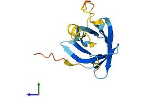 Protein Structure (PS) image for T-Cell Leukemia/lymphoma 1B (TCL1B) (AA 1-128) protein (His tag) (ABIN7544272)
