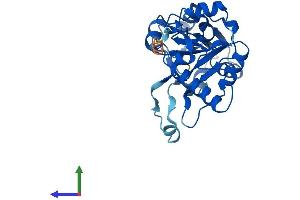 AlphaFold protein structure predicition of Human Recombinant DPH5 Protein, UniprotID Q9H2P9